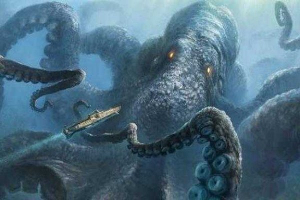 Kraken рабочий