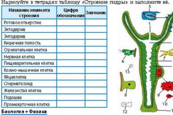 Кракен онион тор