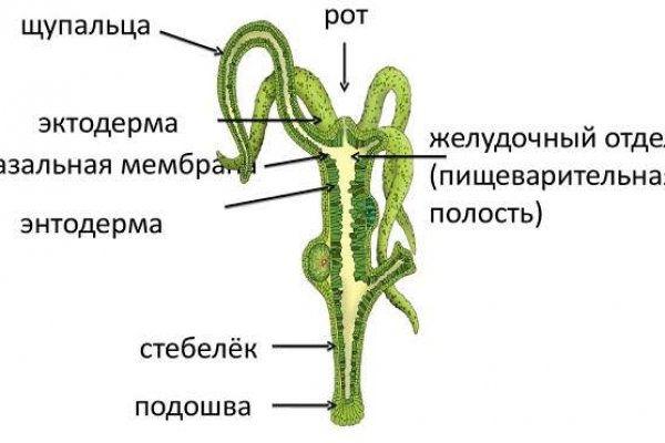 Кракен ориг ссылка